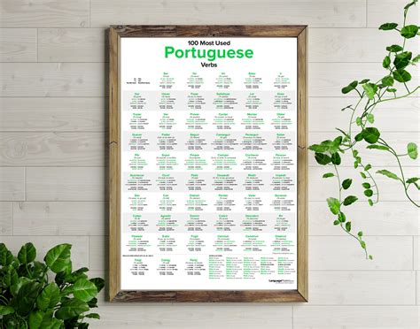 Meest gebruikte werkwoorden portugees